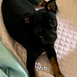 Photo of MIN