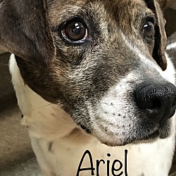 Thumbnail photo of Ariel #4