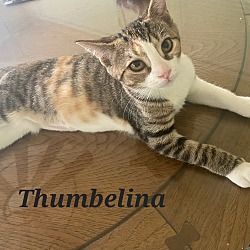 Photo of Thumbelina