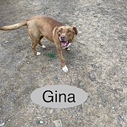 Photo of Gina