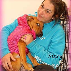 Thumbnail photo of Sissy ~ meet me! #1