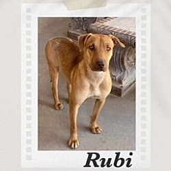 Photo of Rubi