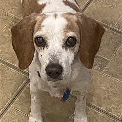 Photo of Fiona