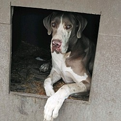 Photo of SAMPSON