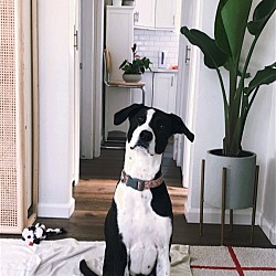 Photo of Imayla