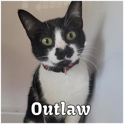 Thumbnail photo of Outlaw #1