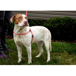 Photo of TUCKER