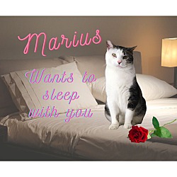 Thumbnail photo of Marius #1