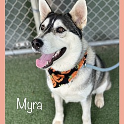 Thumbnail photo of MYRA #3