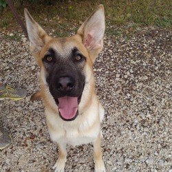 Photo of Patty