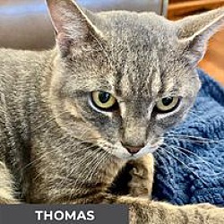 Thumbnail photo of Thomas #1