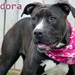 Thumbnail photo of Eudora #2