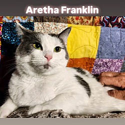 Thumbnail photo of Aretha Franklin and Seymour #1