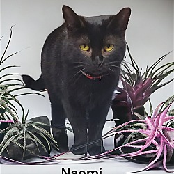 Photo of Naomi