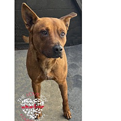 Photo of CITY OF HAWTHORNE 030623-350