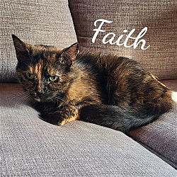 Thumbnail photo of Faith   special needs #2