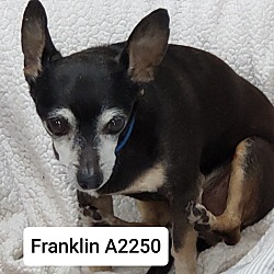 Photo of Franklin A2250
