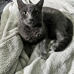 Photo of Waldo