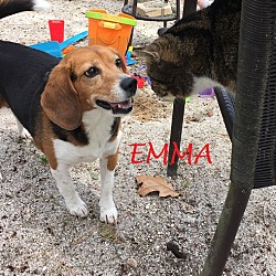 Thumbnail photo of EMMA- Courtesy Posting #1