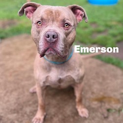 Thumbnail photo of Emerson 240521 #1