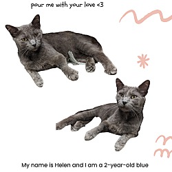 Photo of Helen