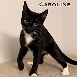 Thumbnail photo of Caroline #2