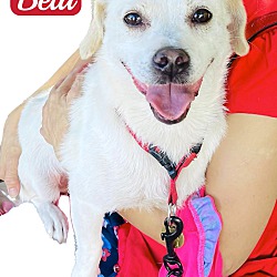 Thumbnail photo of Bela #2