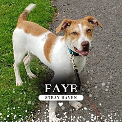 Thumbnail photo of Faye #1