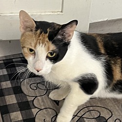 Photo of Kat 