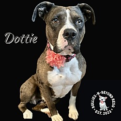 Thumbnail photo of Dottie #1