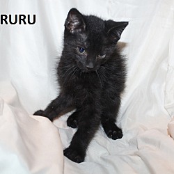 Photo of RuRu