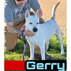 Thumbnail photo of Gerry #2