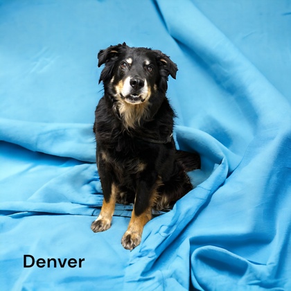 Photo of Denver