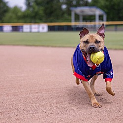 Thumbnail photo of Booker #2