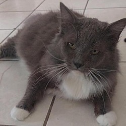 Thumbnail photo of Boris #2