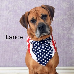 Thumbnail photo of Lance #3