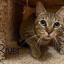 Thumbnail photo of River #3