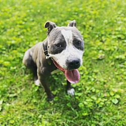 Photo of Major