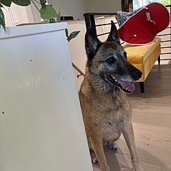 Photo of Izzy 