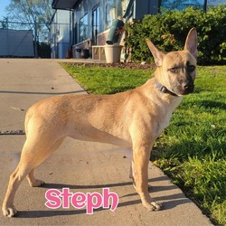 Photo of Steph