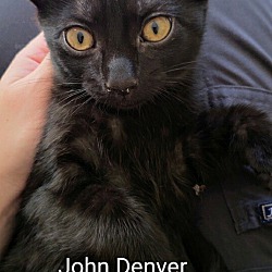 Thumbnail photo of John Denver #2