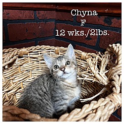 Photo of Chyna
