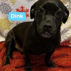 Thumbnail photo of Dink #3