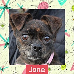 Photo of Jane