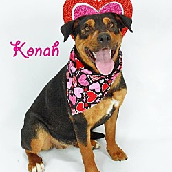 Thumbnail photo of Konah #1