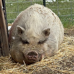 Photo of Kevin