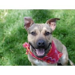 Photo of SAMSON