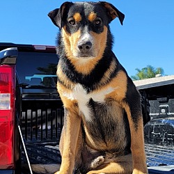 Photo of Bruno