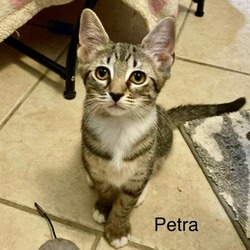 Thumbnail photo of Petra #2