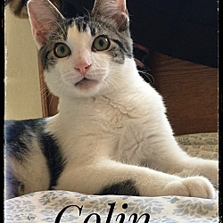 Photo of Colin